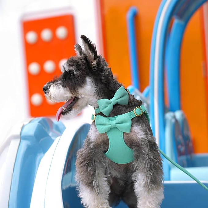 Beirui Adorable Small Dog Harness Collar Leash Set,Cute Puppy Harness with 3 Bows for XS Dogs,Yorkie,Adjustable Step-in Vest for Walking,Parties&Holiday Outfits(Teal,XS)
