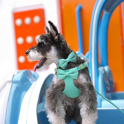 Beirui Adorable Small Dog Harness Collar and Leash Set,Cute Puppy Harness Set with 3 Bows for Small Dogs,Shih Tzu,Dachshund,Adjustable Step-in Vest for Daily Walking,Parties&Holiday Outfits(Teal,S)