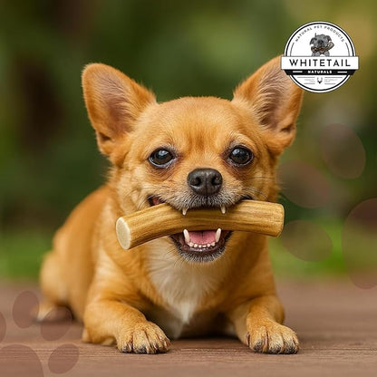 WhiteTail Naturals - Antlers for Extra Small Dogs (6 Pack) Deer Antler Dog Chew Bones for Extra Small Aggressive Chewers - Long Lasting Horn Chew Toys - Naturally Shed