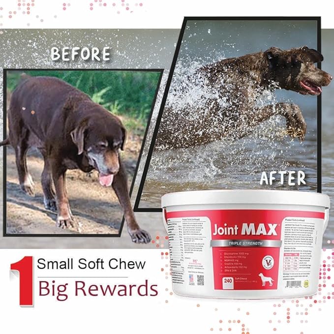 Joint MAX TS Joint Supplement Vet Formulated Pain & Inflammation Relief Treats Hip Dysplasia & Arthritis.Glucosamine, Chondroitin, Turmeric, MSM, HA, Creatine, Omega 3 EPA+DHA. All Dogs 240 Soft Chews