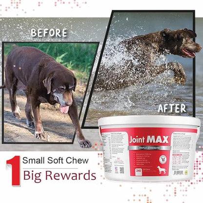 Joint MAX TS Joint Supplement Vet Formulated Pain & Inflammation Relief Treats Hip Dysplasia & Arthritis.Glucosamine, Chondroitin, Turmeric, MSM, HA, Creatine, Omega 3 EPA+DHA. All Dogs 240 Soft Chews