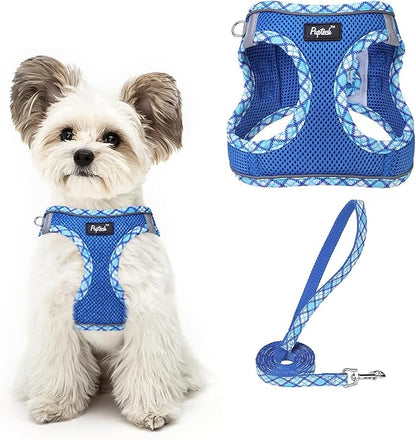 PUPTECK Dog Harness and Leash Set for Small Medium Dogs No Pull Step-in Soft Mesh Puppy Cat Vest Harnesses Reflective at Night, Upgraded New Blue XS