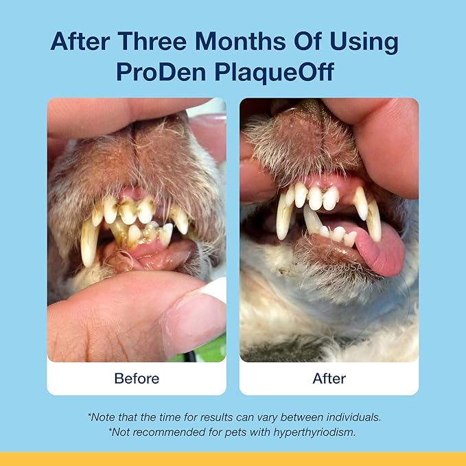 ProDen PlaqueOff Scoopables: Salmon-Flavored Dental Bites for Cats - Natural Kelp Formula for Plaque & Tartar Control, Freshens Breath- 45 Scoops