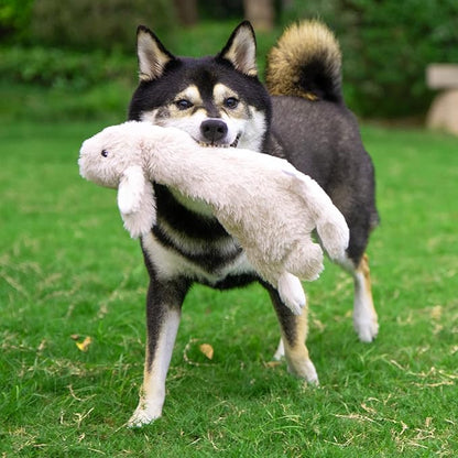 Best Pet Supplies Squeaky Dog Toys with Soft Durable Fabric for Small, Medium and Large Pets Interactive Toy for Indoor Play, Supports Active Biting and Play - Hare, Pig, Medium