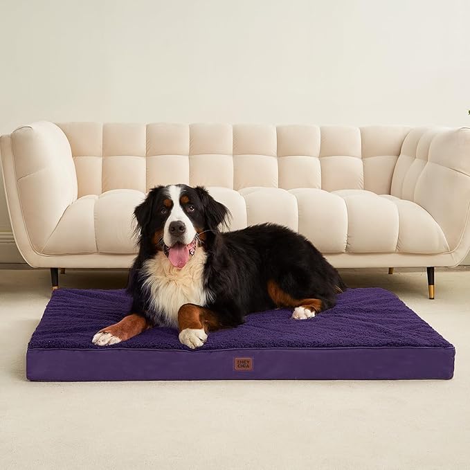 EHEYCIGA Orthopedic XL Dog Beds for Extra Large Dogs with Removable Washable Cover, Purple, 44x32
