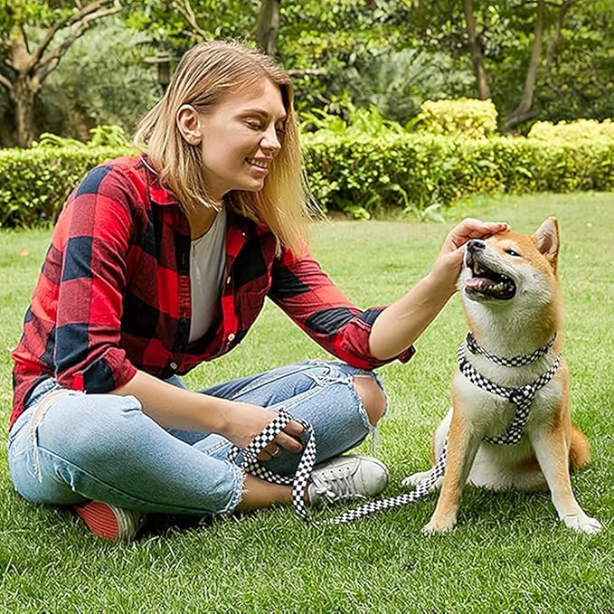 Roses&Poetry Dog Collar and Leash for Medium Large, Adjustable Durable 5ft Puppy Leash Collar for Dog Training Lead（Black & White-L）