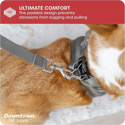 Downtown Pet Supply Step-in Dog Harness – No Pull, Adjustable Padded Mesh with Reflective Trim, Secure Buckle Strap – Comfortable & Breathable Small Dog Harness, Small, Light Gray