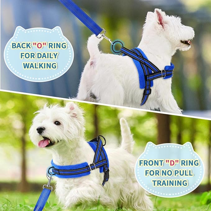 Lukovee No Pull Dog Harness and Leash Set, Soft Padded Small Dog Harness, Neck & Chest Adjustable Reflective Vest Puppy Harness with 4ft Lightweight Anti-Twist Dog Leash for Small Dogs (XS, Blue)