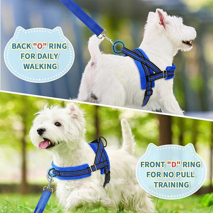 Lukovee No Pull Dog Harness and Leash Set, Soft Padded Small Dog Harness, Neck & Chest Adjustable Reflective Vest Puppy Harness with 4ft Lightweight Anti-Twist Dog Leash for Small Dogs (Blue, M)