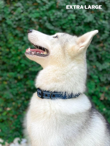 Tuff Pupper Heavy Duty Dog Collar with Handle | Ballistic Nylon Heavy Duty Collar | Padded Reflective Dog Collar with Adjustable Stainless Steel Hardware | Convenient Sizing for All Breeds