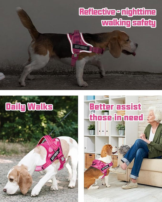AUROTH Dog Harness and Leash Set, Soft Padded Service Dog Vest with 5.25FT Dog Leash, No Choke, Easy On Pet Vest, Adjustable Reflective No Pull Pet Vest Medium Sized Dog, Easy Walking and Training