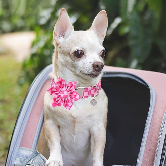 Dog Collar with Flower, UP URARA PUP Cute Pink Dog Bowtie Collar, Detachable Flower Bow Puppy Collar with Metal Buckle for Dogs,XS