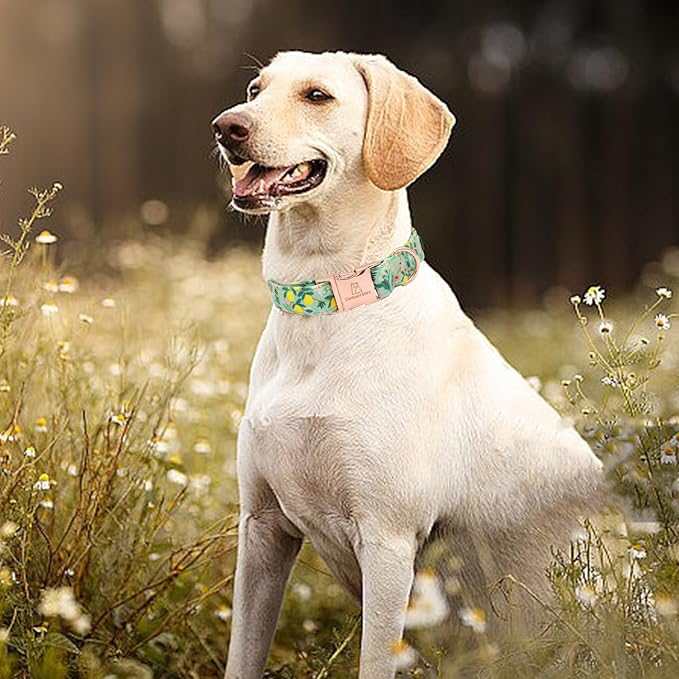 Lionheart glory Premium Floral Dog Collar Cute Dog Collars Spring Adjustable Soft Dog Collar Girl Pet Collars for X-Small Small Medium Large Dogs