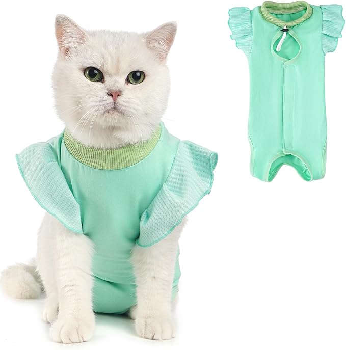 Avont Cat Recovery Suit - Post-Surgery Onesie for Cats, Alternative to Cone of Shame, Protective Spay Suit for Female Kitten, Ideal for Healing and Skin Conditions -Mintgreen(L)
