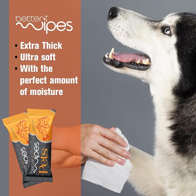 Better Wipes Pets - Extra Thick Pet Wipes for Dogs & Cats | Ultra Soft Dog Wipes for Paws, Face, Ears & Body | Hypoallergenic, Alcohol-Free Cat Wipes | Travel-Friendly Pet Cleaning Wipes | 25 Count