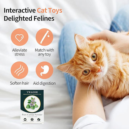 Premium Catnip for Cats & Kittens – Cold-Processed, High Potency Nepetalactone, 100% Pure Organic Leaf-Only Catnip for Toys, Scratchers, Refills, Stimulates Play & Protects Furniture - 15g