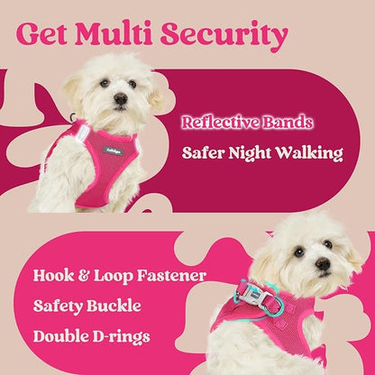 rabbitgoo Small Dog Harness, Step-in Soft Mesh Puppy Vest with Safety Buckle, Breathable Reflective Pet Harness for Extra Small Dogs, Rose Red XXXS