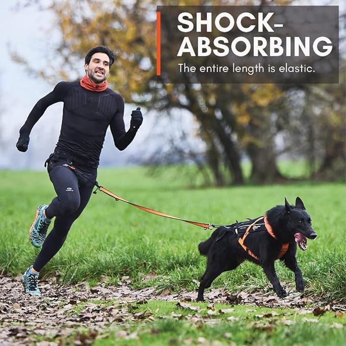Non-stop dogwear Bungee Leash Elastic Dog Leash for Sports Like Running, Biking and Skiing with Dogs, Black/Orange, Size 2.8 m / 23 mm