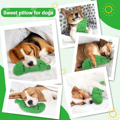 BABORUI Pickle Squeaky Dog Toy for Aggressive Chewers, Funny Plush Toy for Small/Medium/Large Dogs, Exercise and Accompany, GREEN