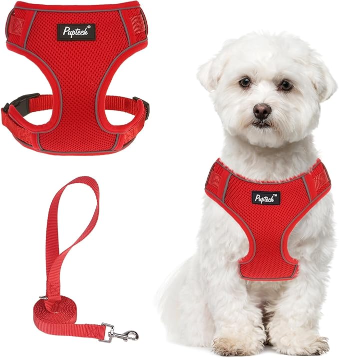 PUPTECK Small Dog Harness and Leash Set, No Pull Adjustable Puppy Cat Harness, Reflective Soft Mesh Pet Vest Small Sized, Red, S