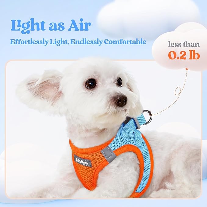 rabbitgoo Dog Harness Small Medium Sized and Leash Set, Step in Soft Light Puppy Vest, Breathable Mesh Pet Harness, Reflective for Safe Easy Walking, Blue & Orange L
