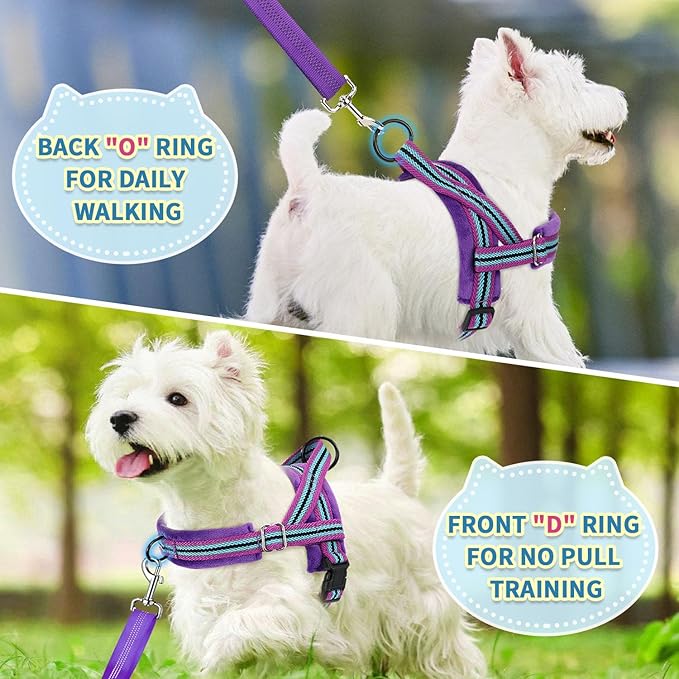 SlowTon No Pull Small Dog Harness and Leash Set, Puppy Soft Vest Harness Neck & Chest Adjustable, Reflective Lightweight & Anti-Twist Pet Lead Combo for Small Medium Dogs (PU-Front Clip, M)
