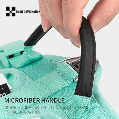 Adjustable Dog Harness with Handle, Padded Comfort,Small, Medium and Large Dogs (Aqua Green, XL)