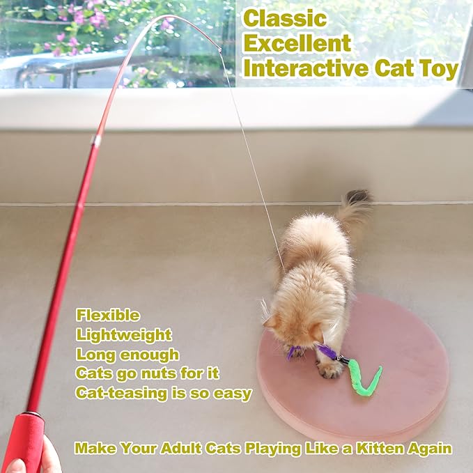 MeoHui Cat Toys for Indoor Cats, Interactive Cat Toy 2PCS Retractable Wand Toy and 9PCS Cat Feather Toys Refills, Funny Kitten Toys Cat Fishing Pole Toy for Bored Indoor Cats Chase and Exercise