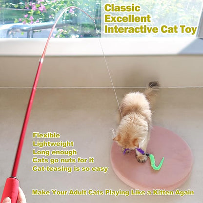 MeoHui Cat Toys for Indoor Cats, Interactive Cat Toy 2PCS Retractable Wand Toy and 9PCS Cat Feather Toys Refills, Funny Kitten Toys Cat Fishing Pole Toy for Bored Indoor Cats Chase and Exercise