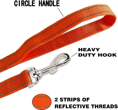 Reflective Dog Leash 4Ft /5 Foot /6 Feet Long, 1 Inch Wide, for Small and Medium Dogs