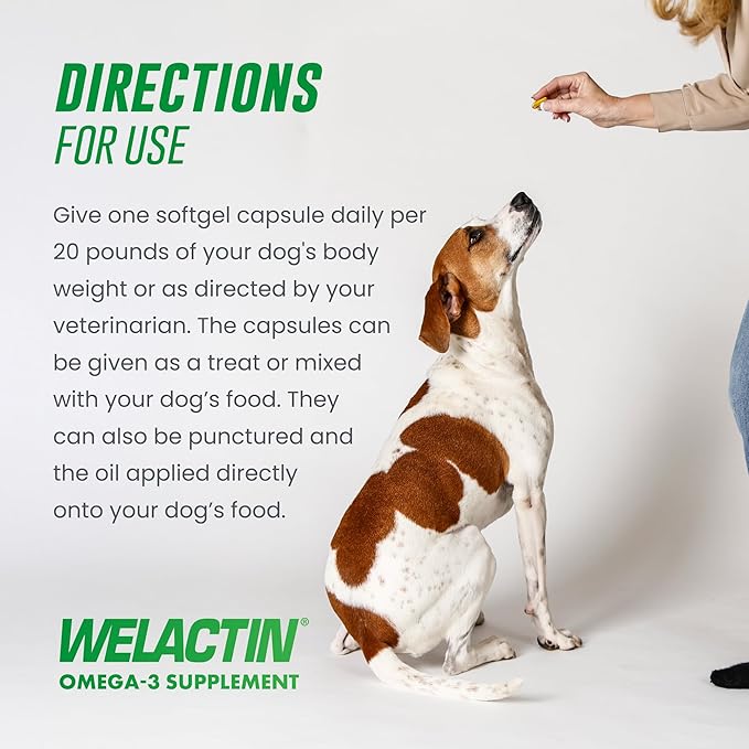 Nutramax Welactin Canine Softgels, Omega 3 Supplement for Dogs of all Sizes, Softgels, 120 Count