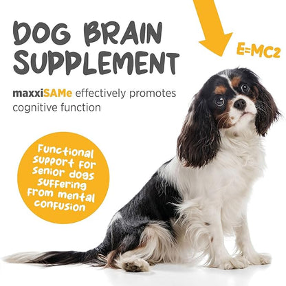 maxxipaws maxxiSAMe Advanced SAM-e Powder Supplement - Liver, Cognitive & Joint Support for Dogs, 5.3oz
