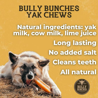 Bully Bunches Extra Large Authentic Yak Cheese Himalayan Chews for Large Dogs & Aggressive Chewers - All Natural Dog Treat Dental Chews, Made with Real Yak Milk - Lactose & Rawhide Free (6 PK)
