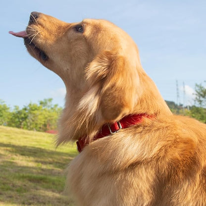 Hyhug Medium Dog Collar, Red:Heavy-Duty Quick-Release Nylon Buckle, Adjustable & Durable, Cute Dog Collar (Medium, Red)