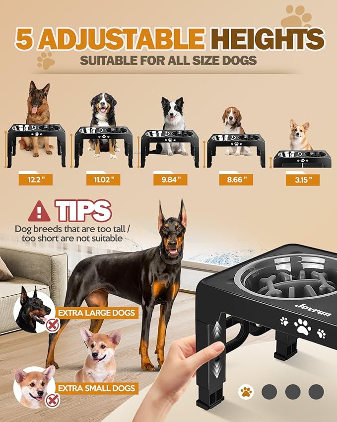 Elevated Dog Bowls, Dog Feeder with 1*Stainless Steel Dishes & 1*Slow Feeder Bowl, 5 Heights Adjustable Raised Stand for Medium Large, Food Dishes with Non-Slip Feet