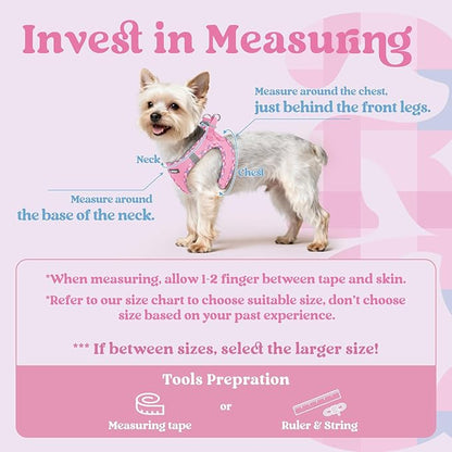 rabbitgoo Small Dog Harness, Step-in Soft Mesh Puppy Vest with Safety Buckle, Breathable Reflective Pet Harness for Small Sized Dogs, Pink & Plaid Trim M