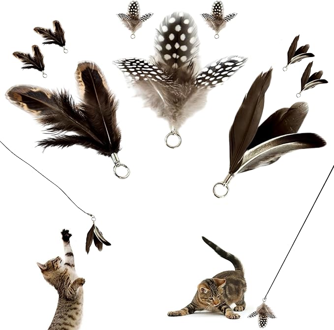repounce Feather Toys Replacements (9 Pc) - Cat Toys & Kitten Toys for Indoor Kittens, Set of Replacement Feather Attachments Extra Small and Durable, for Cat Wands, Natural and Safe