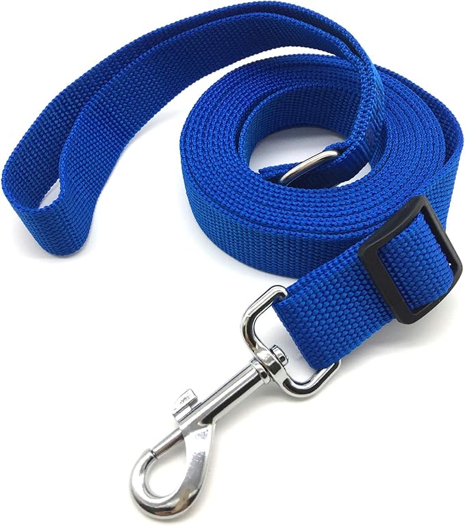 10FT Adjustable Dog Leash, Nylon Dog Leashes for Medium Large Dogs (Blue)