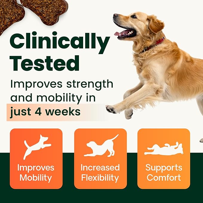 VetriScience Ultimate Strength Healthy Hip & Joint Chews, GlycoFlex Glucosamine, Chondroitin and Green-Lipped Mussel Joint Support Supplement for Dogs, Soothe Joint Discomfort, Duck, 60 Count