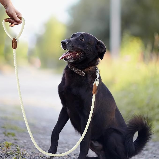 Mile High Life Dog Leash, Braided Cotton Rope Leashes with Leather Handle - Heavy Duty Metal Clasp, 6FT, 1/2" Thick - Wedding, Walking & Training Leash for Small Medium Large Dogs (White)