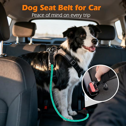 PetBonus Dog Seat Belt for Car, Durable Rope Dog Car Harness Seatbelt for Vehicle, Pet Tether Safety Restraint with Heavy Duty Buckle Hook Latch Lockable Clip for Small Medium Large Breeds (Turquoise)