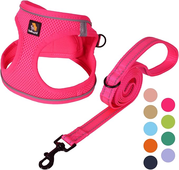 BELLA & PAL Step in Vest Harness for Small and Medium Dogs, No Pull Small Dog Harness with Leash Set, Comfortable Air Mesh Dog Vest Harness with Reflective Strip (Hot Pink, S)