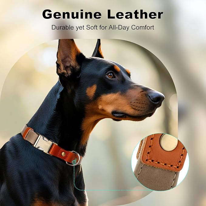 Plutus Pet Genuine Leather & Hemp Dog Collar – Adjustable Heavy Duty Pet Collar with Quick Release Metal Buckle, Soft & Stylish for Puppy and Small, Medium, Large Dogs (Ash Brown, L)