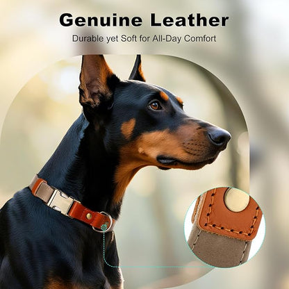 Plutus Pet Genuine Leather & Hemp Dog Collar – Adjustable Heavy Duty Pet Collar with Quick Release Metal Buckle, Soft & Stylish for Puppy and Small, Medium, Large Dogs (Ash Brown, L)