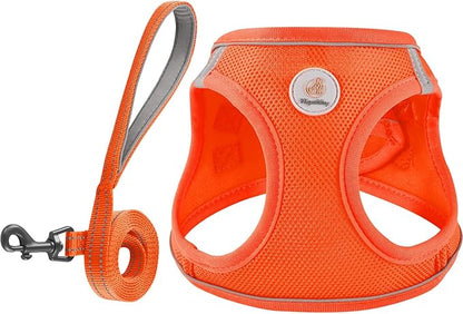Hipubby Dog Harness and Leash Set, No Pull Soft Mesh Puppy Harness for Small Medium Dogs, Cats - Step in Reflective Breathable Lightweight Vest Harness for Walking, Training - Orange, L