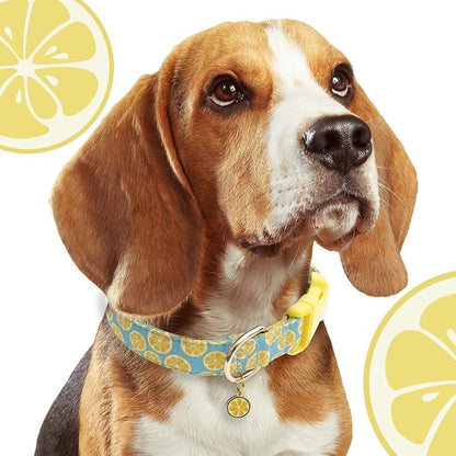 Faygarsle Cute Dog Collar for Girls Boy Dogs Soft Fancy Pet Collar with Lemon Design Ideal Yellow Green Summer Dog Collar for Small Medium Large Dogs S
