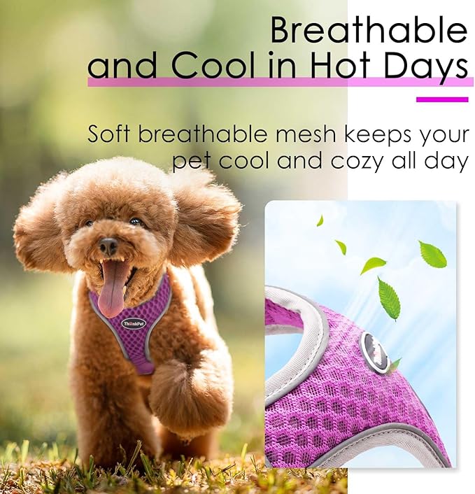 ThinkPet Reflective Breathable Soft Air Mesh No Pull Puppy Choke Free Over Head Vest Ventilation Harness for Puppy Small Medium Dogs and Cats (Purple,M)