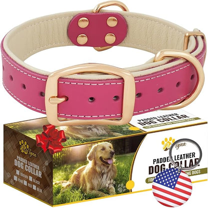 ADITYNA Heavy-Duty Pink Leather Dog Collar for Medium Dogs - Soft Padded for Comfort - Girl Dog Collar for Walking, Training, and Hiking