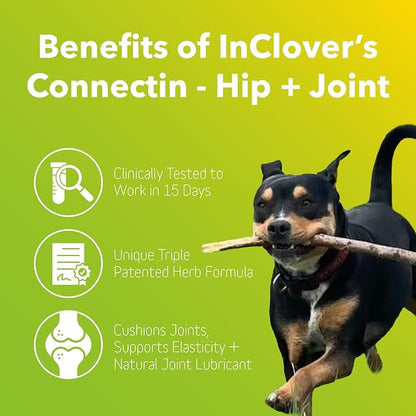 In Clover InClover Connectin Hip and Joint Supplement for Dogs. Combines Glucosamine, Chondroitin and Hyaluronic Acid with Herbs for Comfort and Mobility