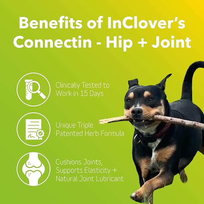 InClover Connectin Natural Hip & Joint Supplement for Dogs with Glucosamine, Chondroitin & Hyaluronic Acid - Powder for Dog Mobility, Comfort & Active Lifestyle Support, 3.oz